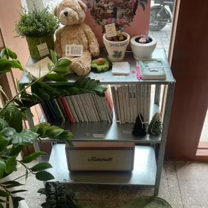 피오엘 리뷰 사진