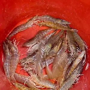 중부회수산 대표 사진