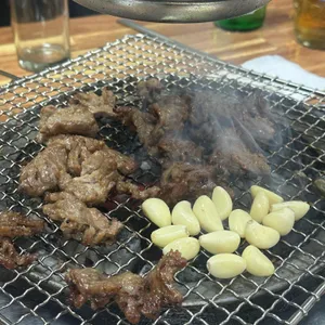 부산갈매기 사진