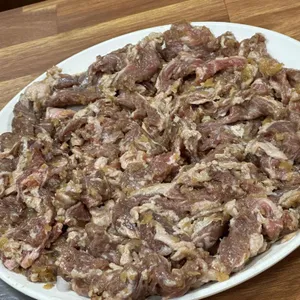 부산갈매기 사진