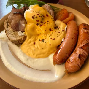 일래빗 대표 사진