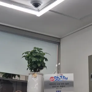 명서밀면 리뷰 사진