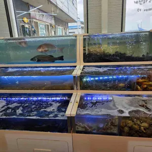 고래포차 리뷰 사진