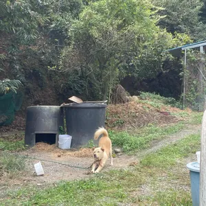 두레두부마을 리뷰 사진