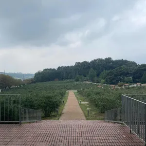 더반 올가닉 리뷰 사진