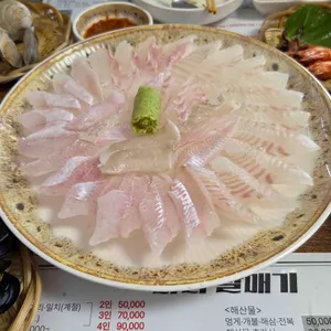 바다갈매기 사진