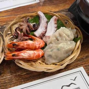 바다갈매기 사진