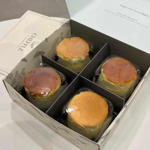 치플레 사진