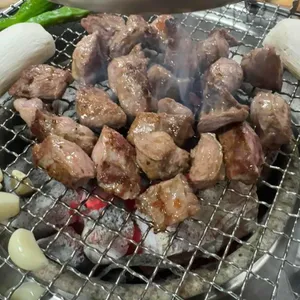 가야갈매기 사진 2