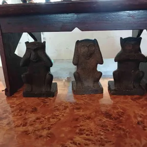 카멜커피 리뷰 사진