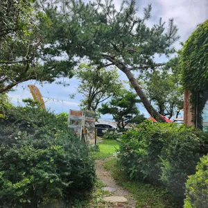 시골농부 쌀베이커리&카페 리뷰 사진