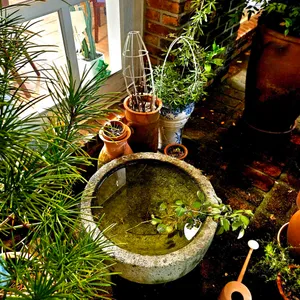 더왈츠 리뷰 사진