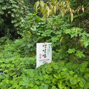 명가 연밭 리뷰 사진