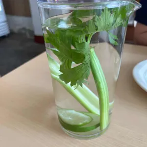 일용할양식 사진