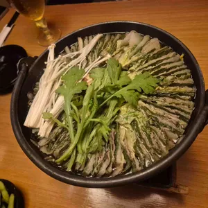 나무 사진 1
