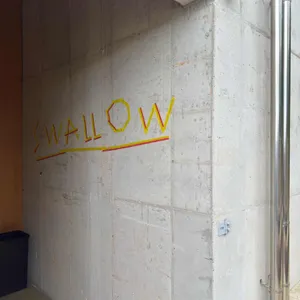 스왈로우 리뷰 사진