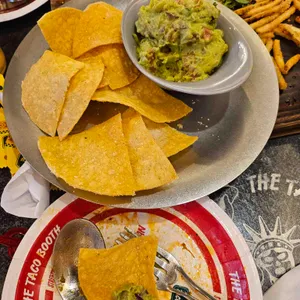 더타코부스 사진