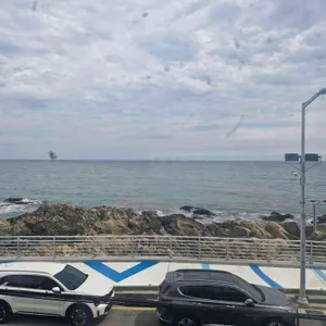 미포집 리뷰 사진