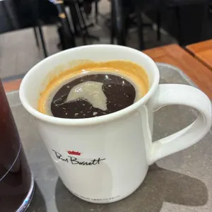 폴 바셋 대표 사진