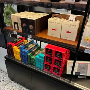 폴 바셋 리뷰 사진