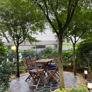 디온실 리뷰 사진