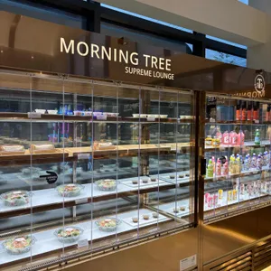 모닝트리 리뷰 사진