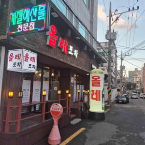 올레포차 사진