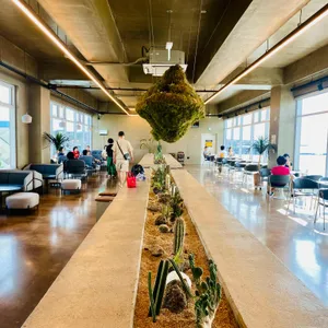 웨이뷰 리뷰 사진