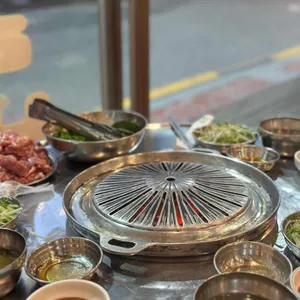 장수갈매기 사진