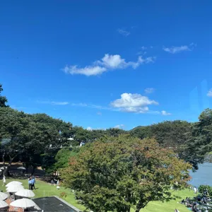 브리끄 사진 2