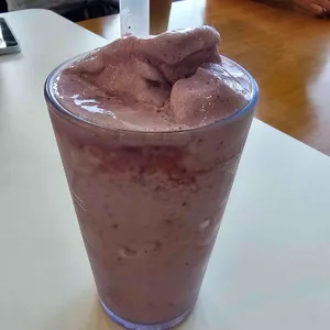 하이바다 사진