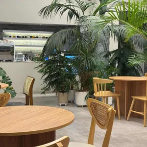 사우스플랜 리뷰 사진