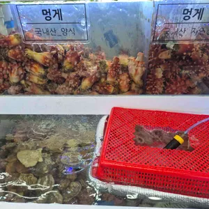 삼척대왕횟집 리뷰 사진