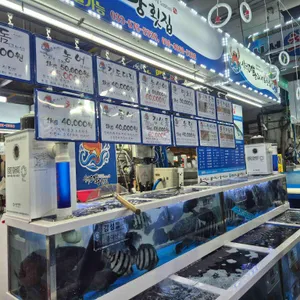 삼척대왕횟집 리뷰 사진