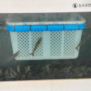 대부수산 리뷰 사진