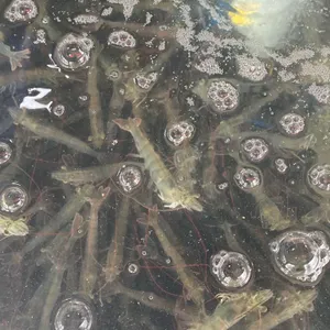 대부수산 리뷰 사진