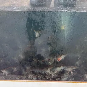 대부수산 리뷰 사진