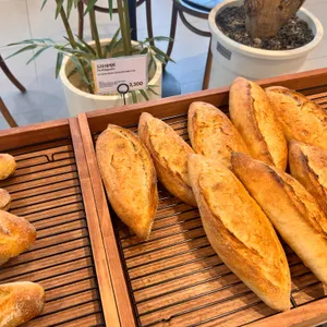 곤트란쉐리에 사진