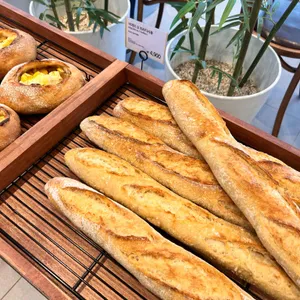 곤트란쉐리에 사진