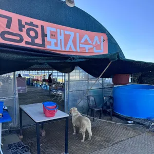 강화돼지수산 대표 사진