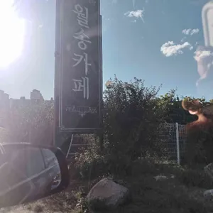 월송카페 리뷰 사진