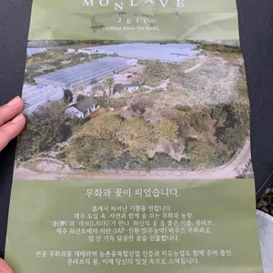 몽라브 리뷰 사진
