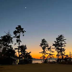 오송웨이브 리뷰 사진