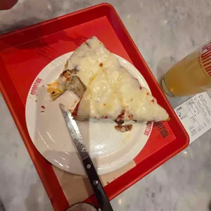 스폰티니 사진