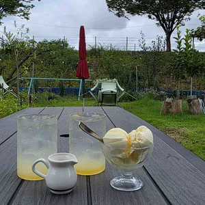 노팅힐 리뷰 사진