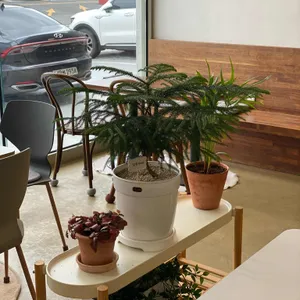 로머스커피 리뷰 사진