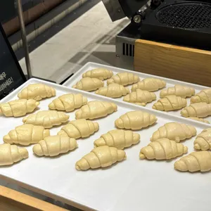 애슐리퀸즈 사진
