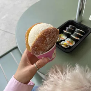 노티드 사진 1