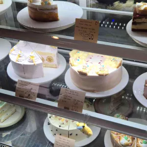 모도시 리뷰 사진