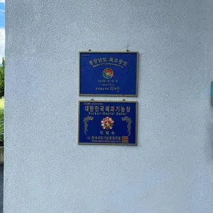 소석 200℃ 리뷰 사진